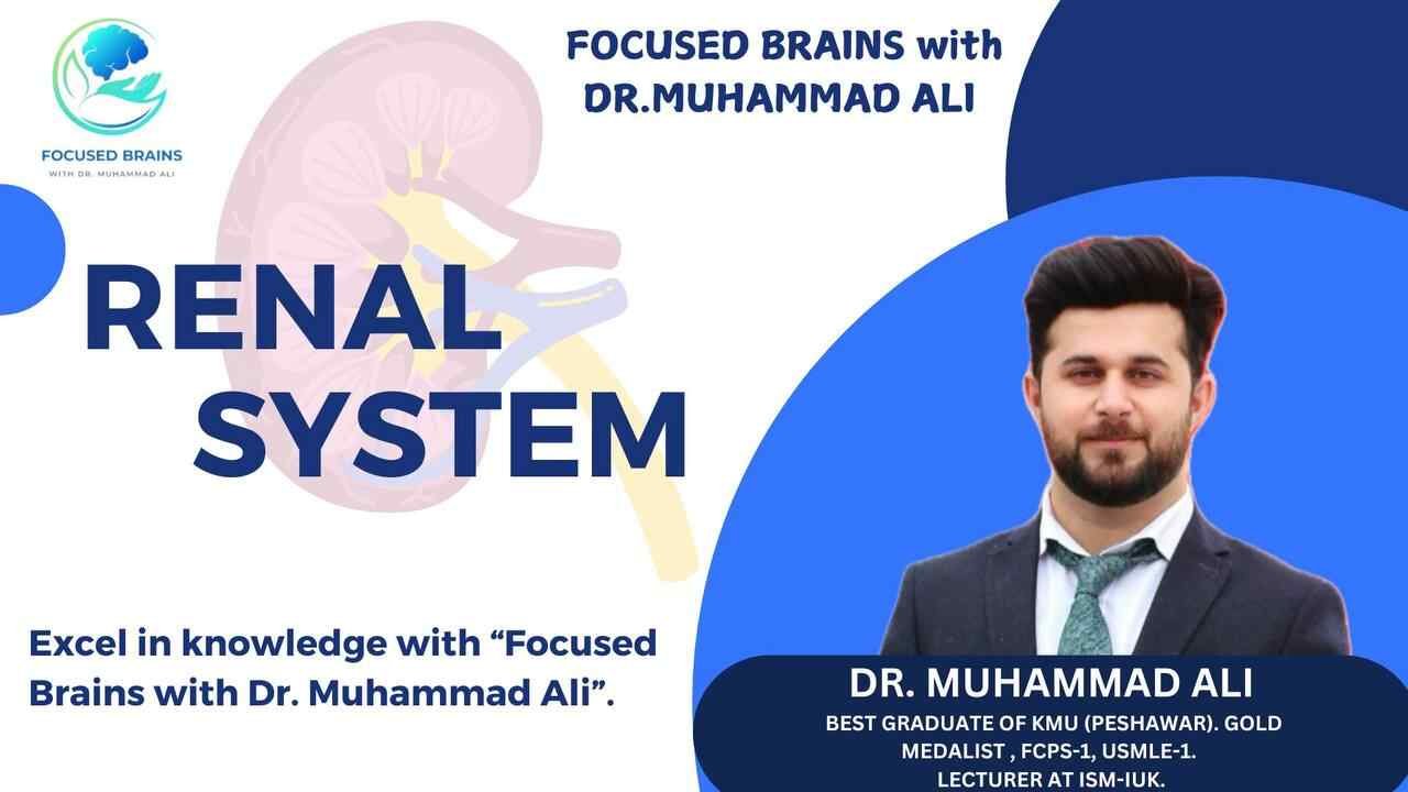 Exploring the Renal System with Dr. Muhammad Ali